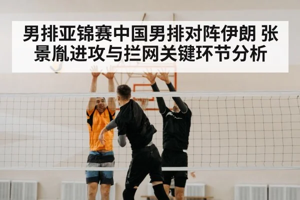 volleyball block