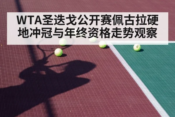 tennis hard court player